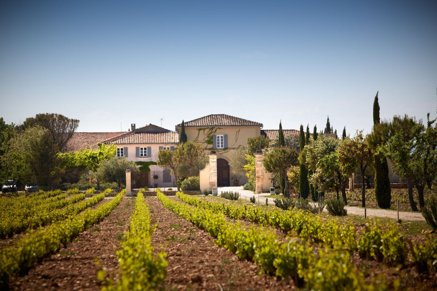 Beau Domaine by Brad Pitt & Famille Perrin